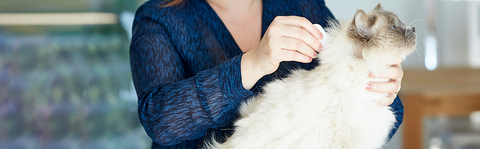 Zu Ihrer Information: